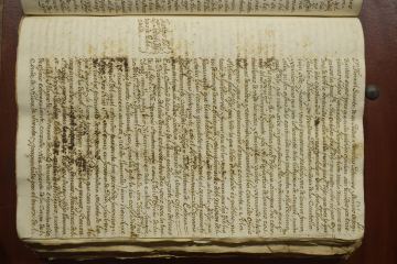 Información de calidad y limpieza de sangre de Manuel Garate