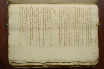 Índice de diligencias y formularios procesales del Santo Oficio